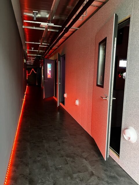 Akustisch gestalteter Karaoke-Raum mit Wand- und Deckenverkleidungen zur Optimierung der Raumakustik.